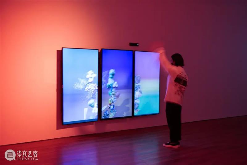 ≡ 特罗拉马 | 个展“失落的丛林” | 马来世界现当代艺术博物馆 丛林 世界 当代艺术博物馆 个展 罗拉 现场 马来 雅加达 MACAN Jakarta 崇真艺客
