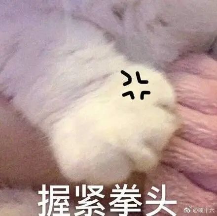 《蜘蛛侠：平行宇宙》续集首发预告；《谁是凶手》海报被曝抄袭 海报 蜘蛛侠：平行宇宙 续集 谁是凶手 影视 好剧 小豆 资讯 豆瓣 电影 崇真艺客