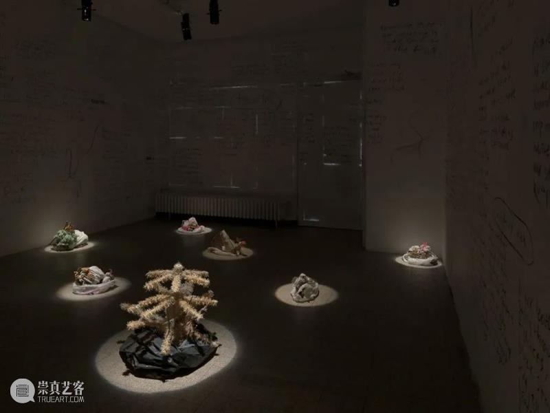 同行/于身体其上，于身体其外  | Ser Serpas 视频资讯 徐震XuZhen Serpas 身体 同行 美国加利福尼亚州 洛杉矶 日内瓦 生活 工作 雕塑 素描 崇真艺客