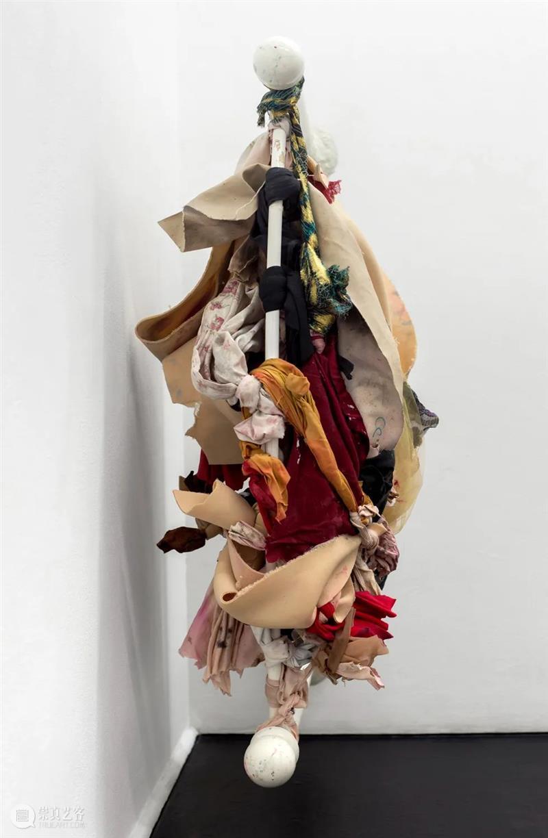 同行/于身体其上，于身体其外  | Ser Serpas 视频资讯 徐震XuZhen Serpas 身体 同行 美国加利福尼亚州 洛杉矶 日内瓦 生活 工作 雕塑 素描 崇真艺客