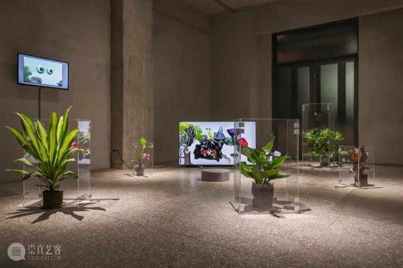 AIKE | aaajiao近期展讯 视频资讯 艾可画廊 aaa jiao 近期 AIKE 展讯 ACC 光州 亚洲 艺术家 展期 崇真艺客