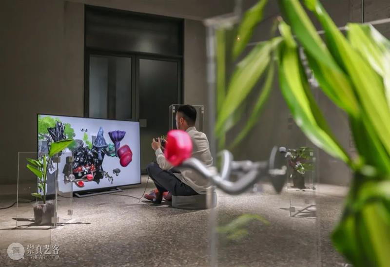 AIKE | aaajiao近期展讯 视频资讯 艾可画廊 aaa jiao 近期 AIKE 展讯 ACC 光州 亚洲 艺术家 展期 崇真艺客