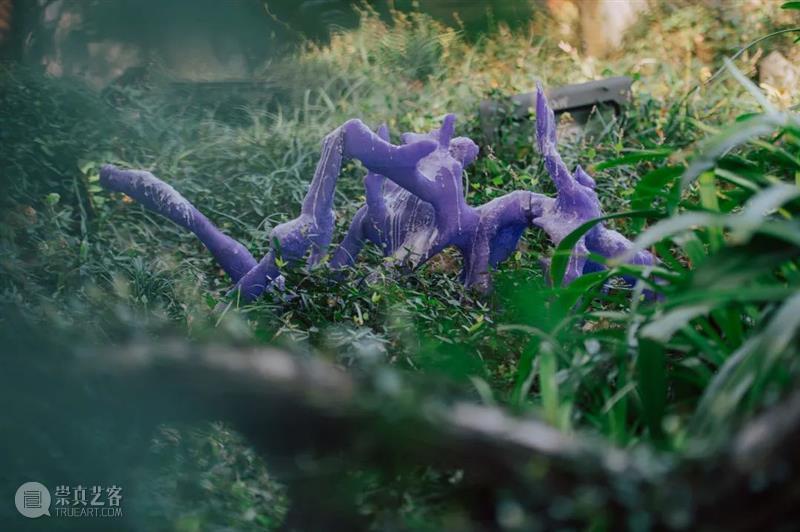 AIKE | aaajiao近期展讯 视频资讯 艾可画廊 aaa jiao 近期 AIKE 展讯 ACC 光州 亚洲 艺术家 展期 崇真艺客