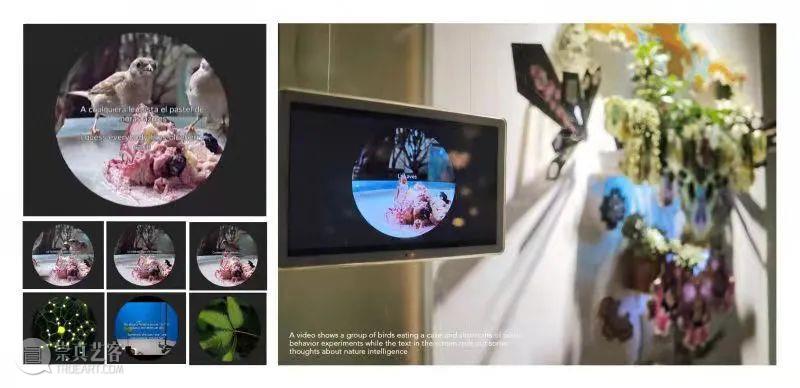 PREVIEW | PAN-TONGJI DESIGN WEEK 2021  TJDW 崇真艺客