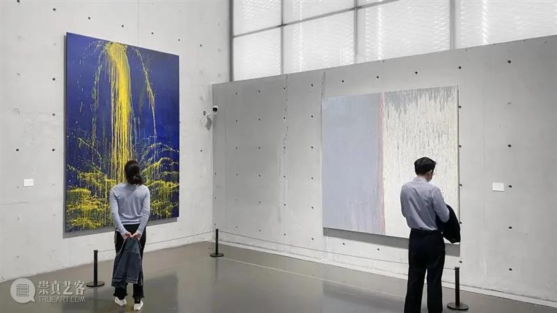 国家美术·关注│无为是她的画笔 描绘出艺术的桀骜 视频资讯 │ 艺术 桀骜 国家 美术 │无为 画笔 名称 帕特·斯蒂尔 时间 地点 崇真艺客