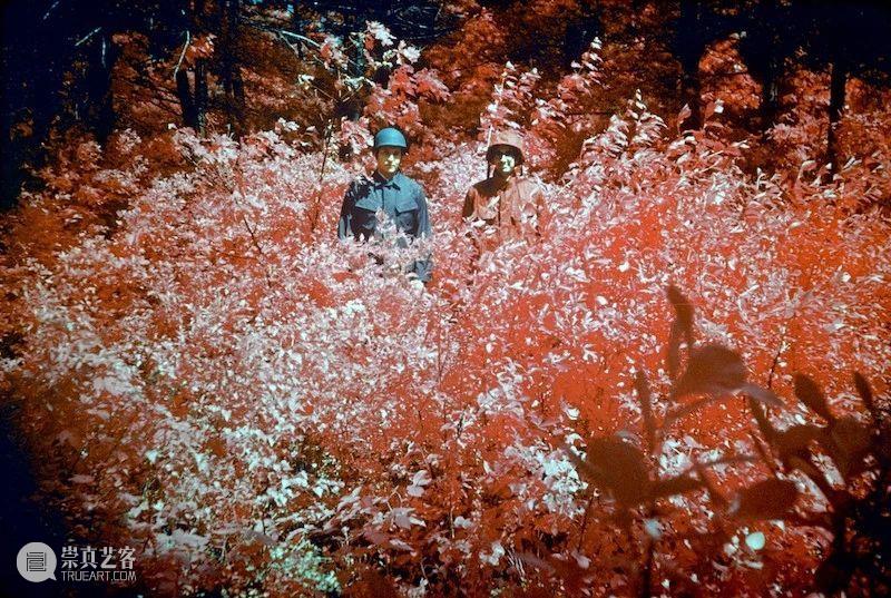 战斗文化背后的古怪科学与艺术 文化 背后 科学与艺术 利维坦 战争 如今 东西 当初 目的 计算机 崇真艺客