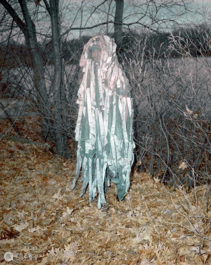 战斗文化背后的古怪科学与艺术 文化 背后 科学与艺术 利维坦 战争 如今 东西 当初 目的 计算机 崇真艺客