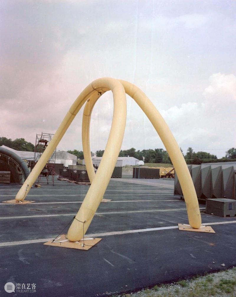 战斗文化背后的古怪科学与艺术 文化 背后 科学与艺术 利维坦 战争 如今 东西 当初 目的 计算机 崇真艺客