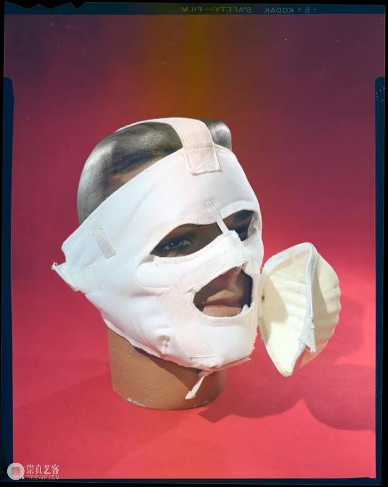 战斗文化背后的古怪科学与艺术 文化 背后 科学与艺术 利维坦 战争 如今 东西 当初 目的 计算机 崇真艺客