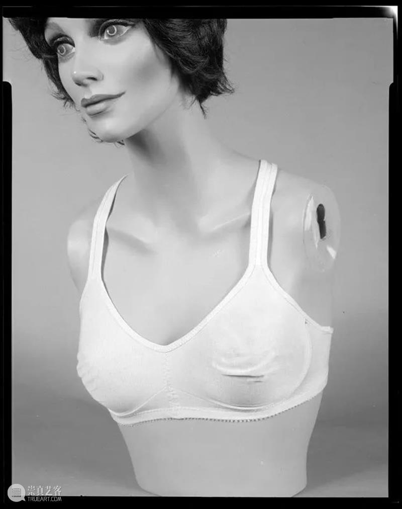 战斗文化背后的古怪科学与艺术 文化 背后 科学与艺术 利维坦 战争 如今 东西 当初 目的 计算机 崇真艺客