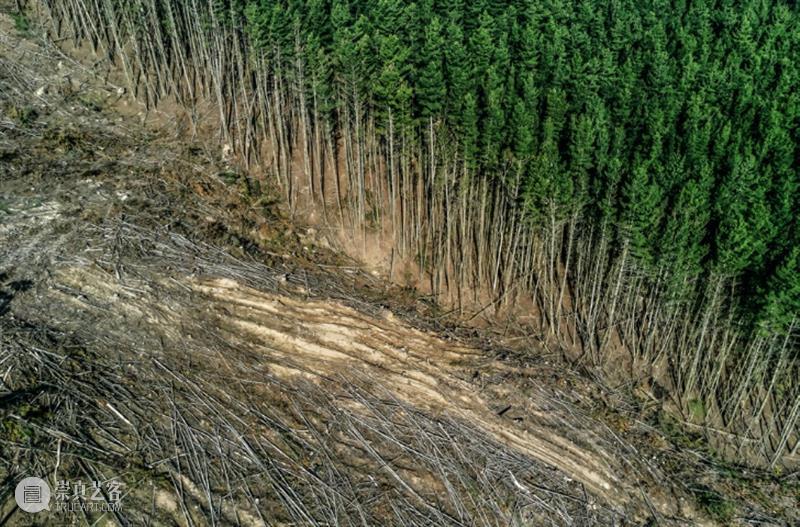 “物物WUWU——材料的未来与考古”今日开幕丨AMNUA展讯 物物 材料 未来 丨AMNUA 展讯 Material Tales 南京艺术学院美术馆 英国 博物馆 崇真艺客