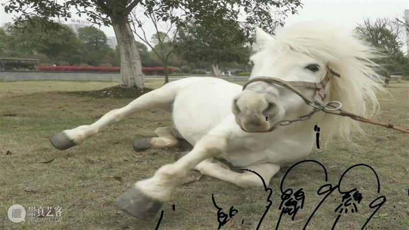 关于李明的烟士...... 李明 艺术家 系列 影像 作品 名称 inspiration 灵感 音译 版本 崇真艺客