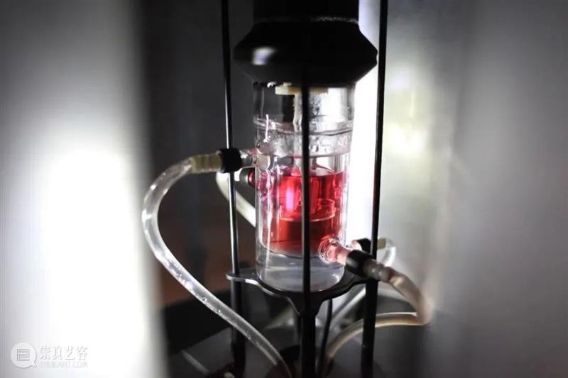 讲座预告 | 技术环宇中超越人类的展演 讲座 人类 技术 环宇 媒体 艺术 系列 线上 科技艺术学院 项目 崇真艺客