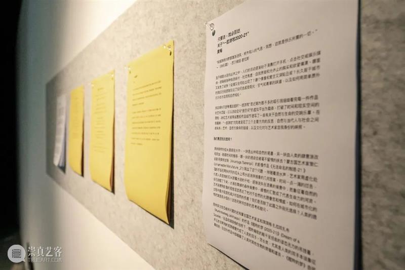 McaM Screening Project丨Go Nomadic Together: Nomadic Body 崇真艺客