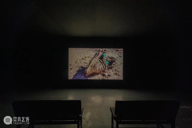 McaM Screening Project丨Go Nomadic Together: Nomadic Body 崇真艺客