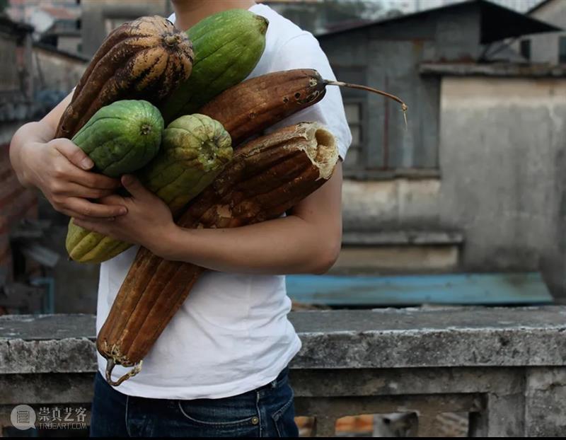 Newsstand237｜当世界探索重新开放时，「失落和希望」是纽约2021年公共艺术的共同主题 视频资讯 文化力研究所 艺术 世界 纽约 主题 Newsstand237｜ 经典 创意 商业 文化 资讯 崇真艺客