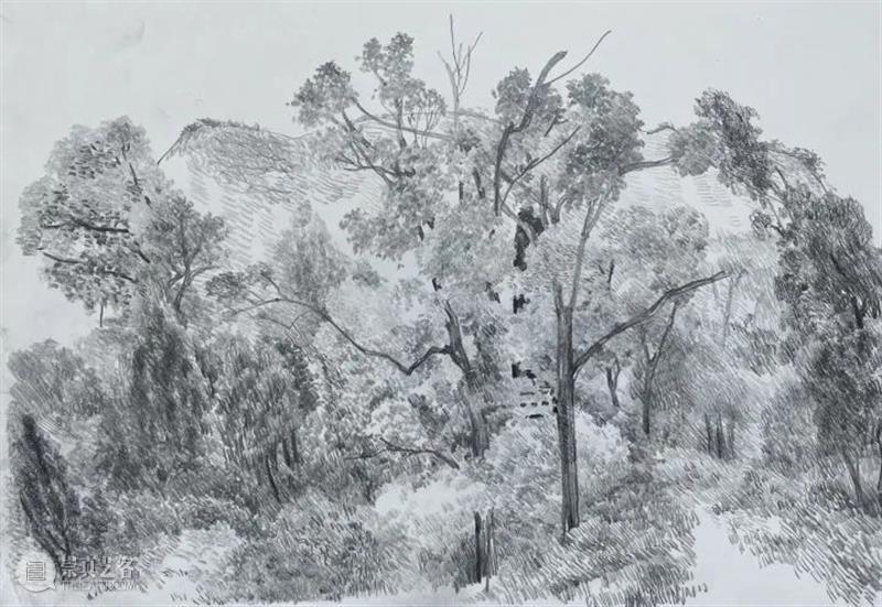 雁山登临 | 视觉中国视觉思想与绘画诗学方向、油画系多维表现工作室赴雁荡山下乡报告 视频资讯 CAA多维表现工作室 崇真艺客