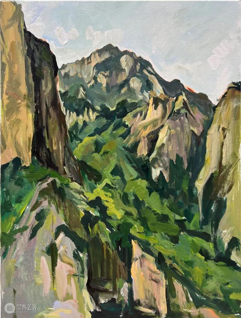雁山登临 | 视觉中国视觉思想与绘画诗学方向、油画系多维表现工作室赴雁荡山下乡报告 视频资讯 CAA多维表现工作室 崇真艺客
