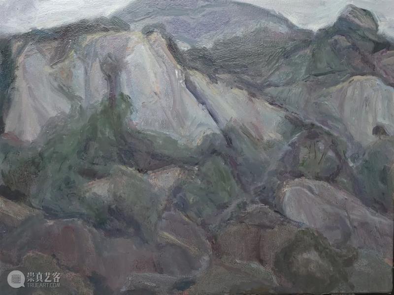 雁山登临 | 视觉中国视觉思想与绘画诗学方向、油画系多维表现工作室赴雁荡山下乡报告 视频资讯 CAA多维表现工作室 崇真艺客