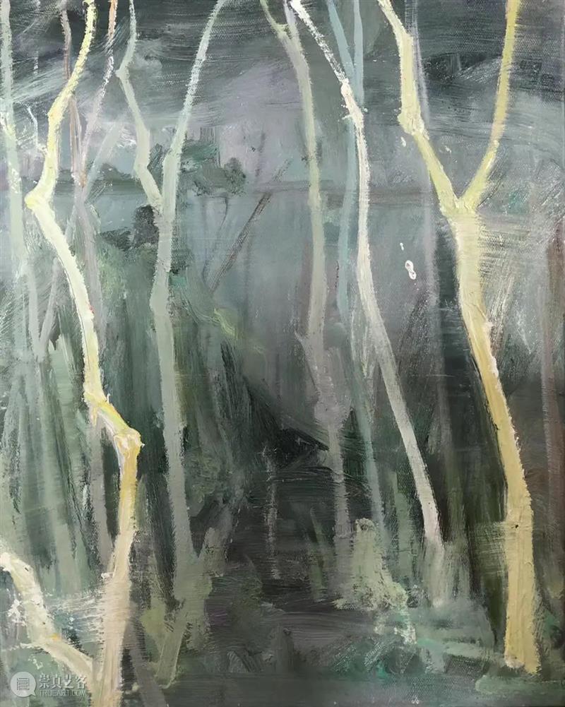 雁山登临 | 视觉中国视觉思想与绘画诗学方向、油画系多维表现工作室赴雁荡山下乡报告 视频资讯 CAA多维表现工作室 崇真艺客