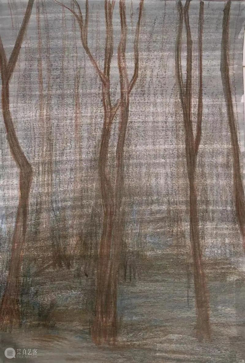 雁山登临 | 视觉中国视觉思想与绘画诗学方向、油画系多维表现工作室赴雁荡山下乡报告 视频资讯 CAA多维表现工作室 崇真艺客