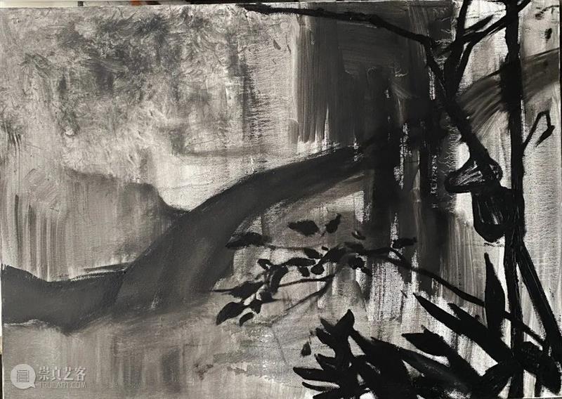 雁山登临 | 视觉中国视觉思想与绘画诗学方向、油画系多维表现工作室赴雁荡山下乡报告 视频资讯 CAA多维表现工作室 崇真艺客