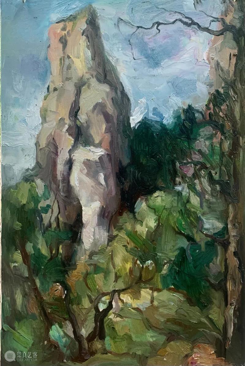雁山登临 | 视觉中国视觉思想与绘画诗学方向、油画系多维表现工作室赴雁荡山下乡报告 视频资讯 CAA多维表现工作室 崇真艺客
