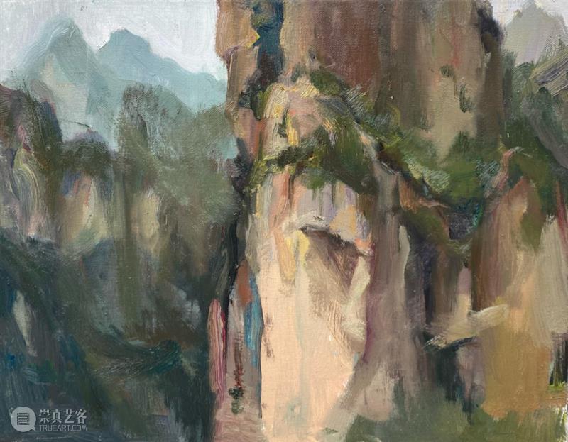 雁山登临 | 视觉中国视觉思想与绘画诗学方向、油画系多维表现工作室赴雁荡山下乡报告 视频资讯 CAA多维表现工作室 崇真艺客