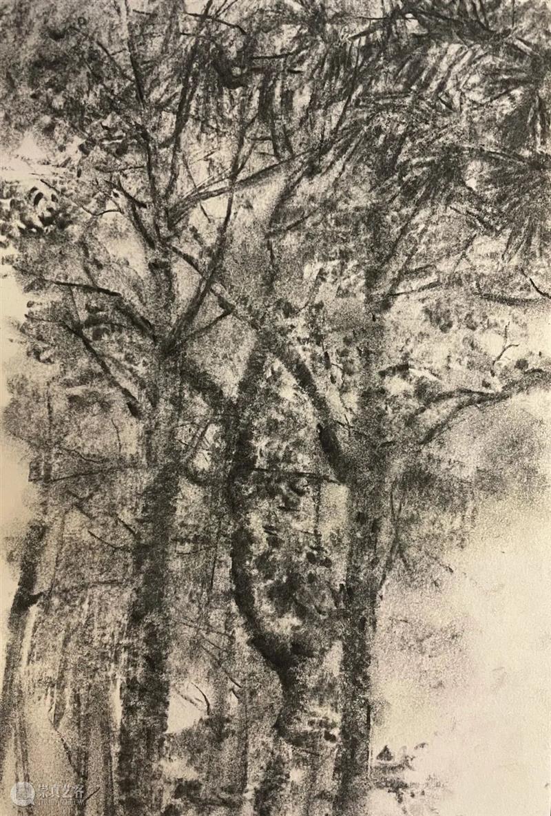 雁山登临 | 视觉中国视觉思想与绘画诗学方向、油画系多维表现工作室赴雁荡山下乡报告 视频资讯 CAA多维表现工作室 崇真艺客