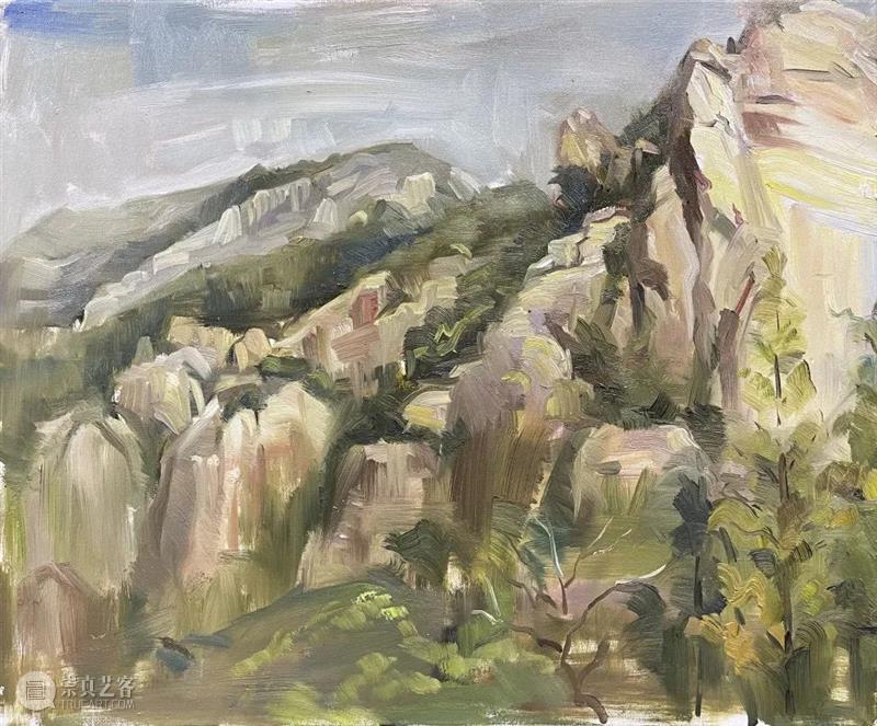 雁山登临 | 视觉中国视觉思想与绘画诗学方向、油画系多维表现工作室赴雁荡山下乡报告 视频资讯 CAA多维表现工作室 崇真艺客