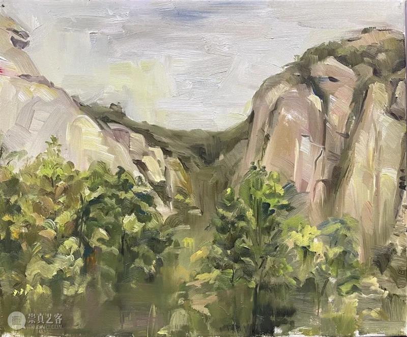 雁山登临 | 视觉中国视觉思想与绘画诗学方向、油画系多维表现工作室赴雁荡山下乡报告 视频资讯 CAA多维表现工作室 崇真艺客