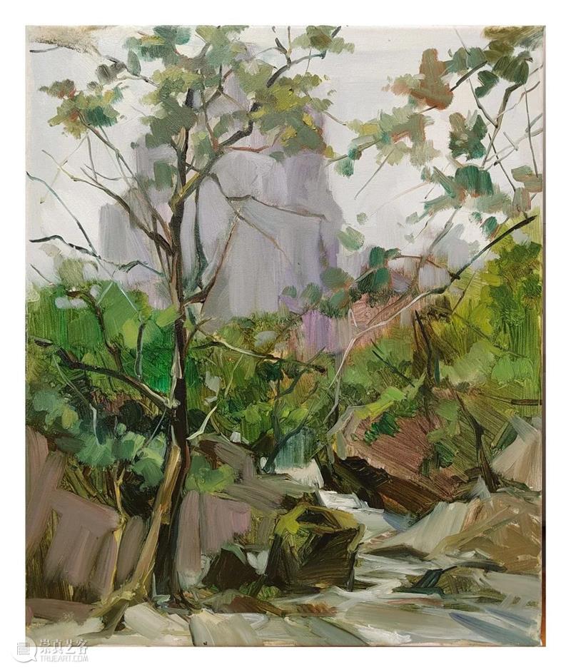 雁山登临 | 视觉中国视觉思想与绘画诗学方向、油画系多维表现工作室赴雁荡山下乡报告 视频资讯 CAA多维表现工作室 崇真艺客