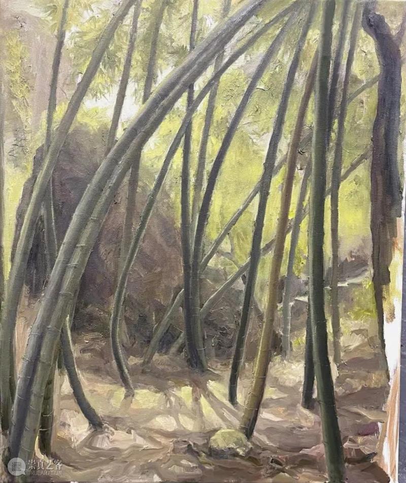 雁山登临 | 视觉中国视觉思想与绘画诗学方向、油画系多维表现工作室赴雁荡山下乡报告 视频资讯 CAA多维表现工作室 崇真艺客