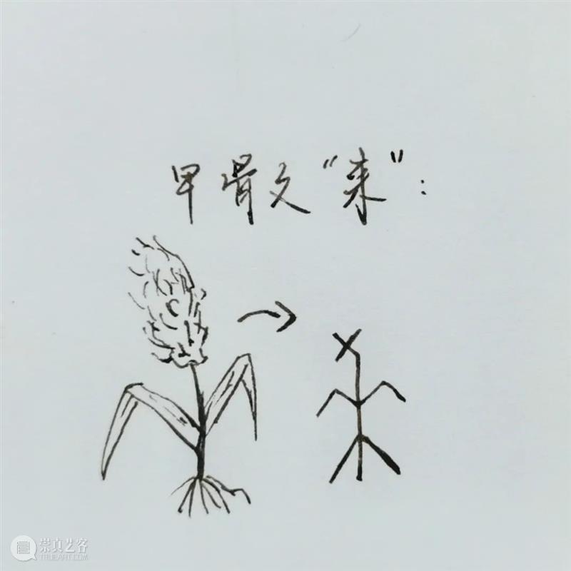 河西走廊，如何成为击败旱魔的斗士？ 走廊 河西 斗士 中原 荒漠 河西走廊 绿意 视觉中国 中国 甘肃省 崇真艺客