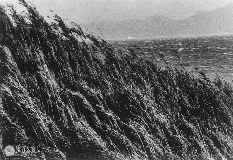 对时间探索的演变，对摄影的矛盾心理，石内都如何在一个由男性主导的领域中生存？ 石内都 时间 矛盾 心理 男性 领域 阳子 日本 摄影师 Miyako 崇真艺客