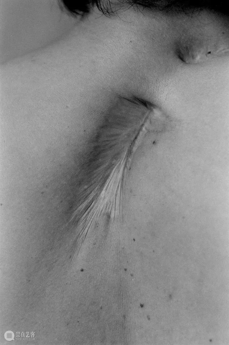 对时间探索的演变，对摄影的矛盾心理，石内都如何在一个由男性主导的领域中生存？ 石内都 时间 矛盾 心理 男性 领域 阳子 日本 摄影师 Miyako 崇真艺客