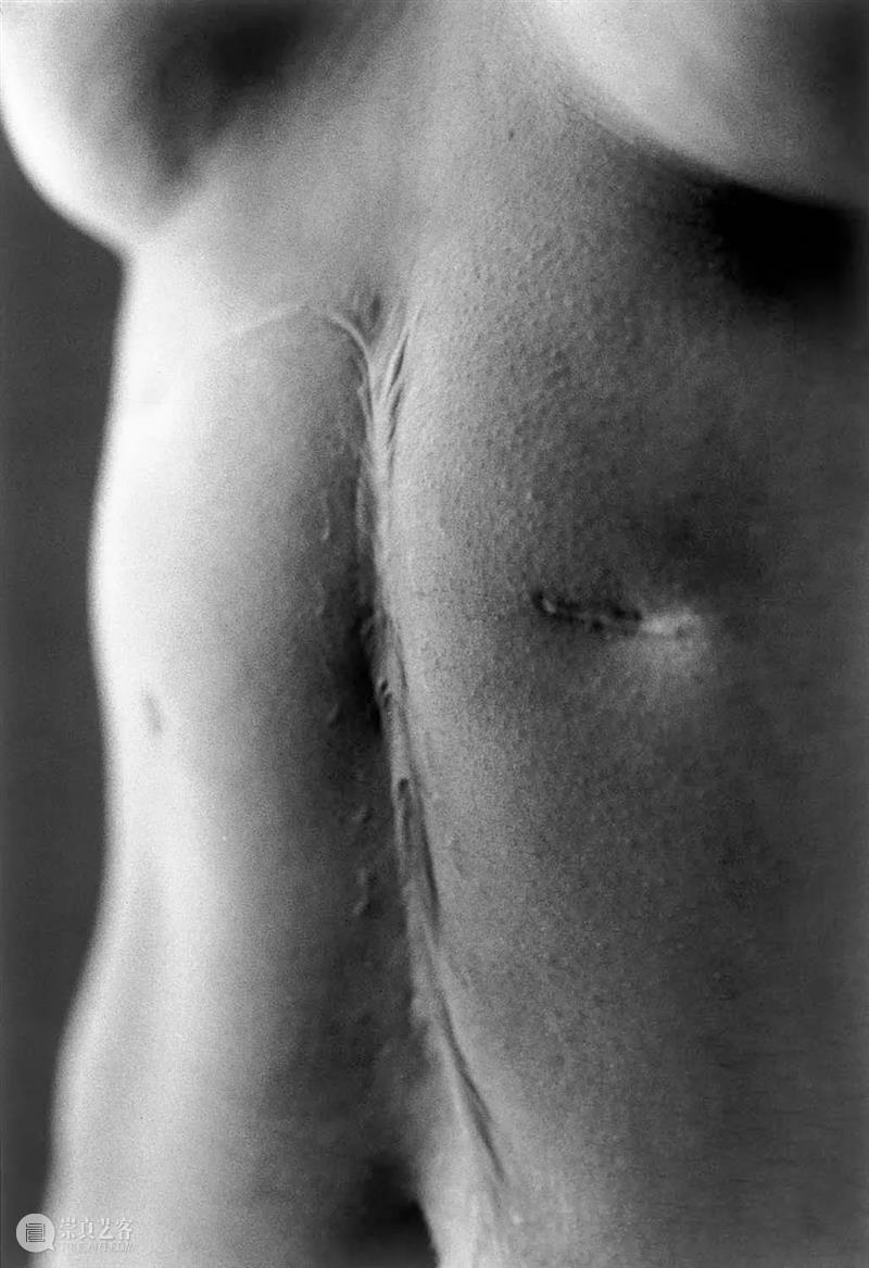 对时间探索的演变，对摄影的矛盾心理，石内都如何在一个由男性主导的领域中生存？ 石内都 时间 矛盾 心理 男性 领域 阳子 日本 摄影师 Miyako 崇真艺客