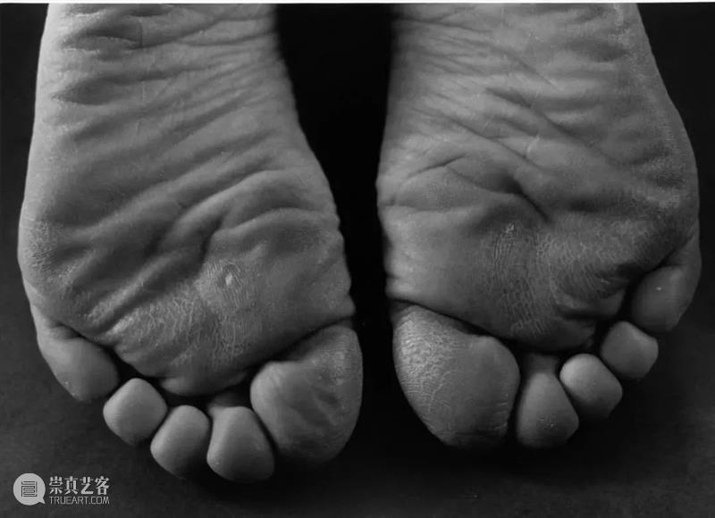 对时间探索的演变，对摄影的矛盾心理，石内都如何在一个由男性主导的领域中生存？ 石内都 时间 矛盾 心理 男性 领域 阳子 日本 摄影师 Miyako 崇真艺客