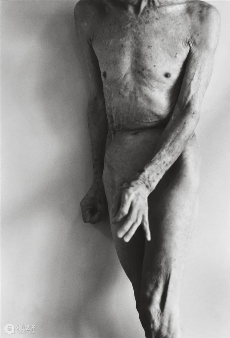 对时间探索的演变，对摄影的矛盾心理，石内都如何在一个由男性主导的领域中生存？ 石内都 时间 矛盾 心理 男性 领域 阳子 日本 摄影师 Miyako 崇真艺客