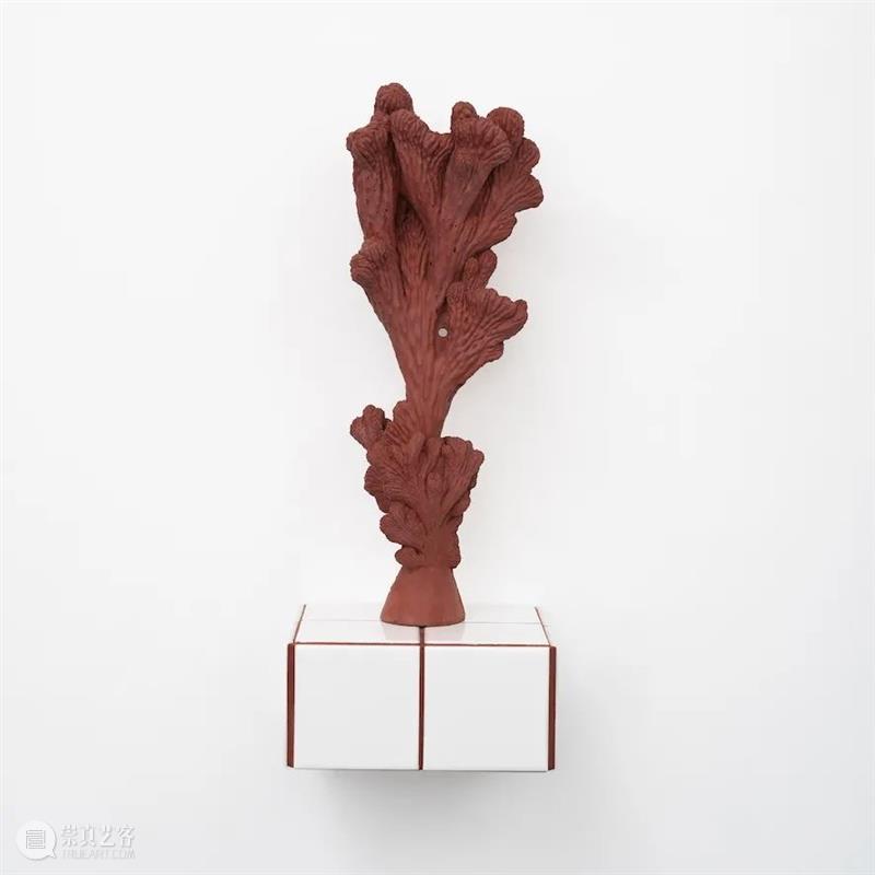 登陆珊瑚岛在即，你需要这一份岛情图 珊瑚岛 展览 珊瑚岛上的死光 科幻 考古学 题目 中国 研究者 童恩正 作品 崇真艺客