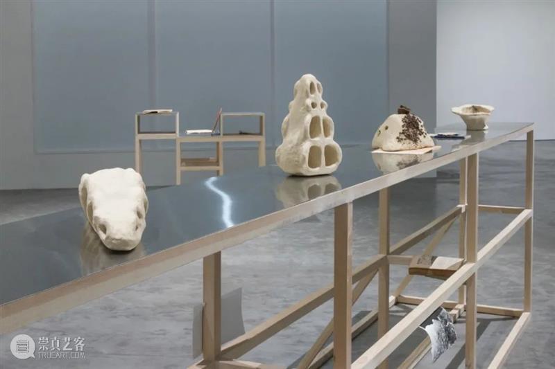 登陆珊瑚岛在即，你需要这一份岛情图 珊瑚岛 展览 珊瑚岛上的死光 科幻 考古学 题目 中国 研究者 童恩正 作品 崇真艺客