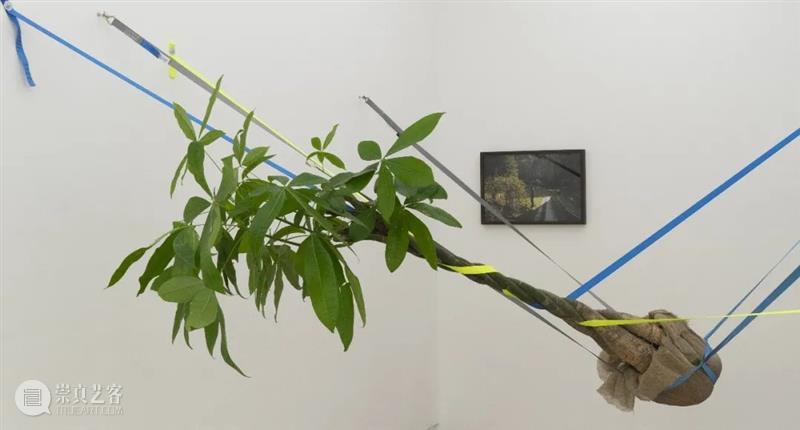 登陆珊瑚岛在即，你需要这一份岛情图 珊瑚岛 展览 珊瑚岛上的死光 科幻 考古学 题目 中国 研究者 童恩正 作品 崇真艺客