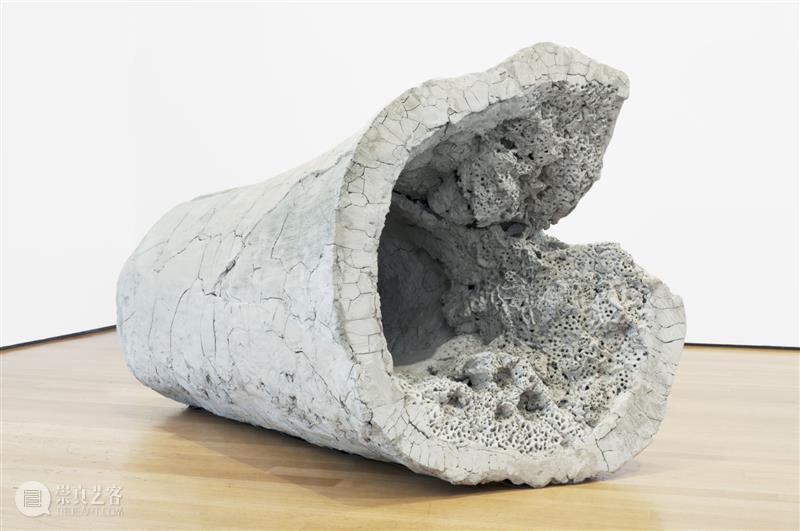 同行/从零认识世界 | Adrián Villar Rojas 博文精选 同行 Adrián Rojas 同行 世界 阿根廷 雕塑家 作品 人类 世界末日 概念 崇真艺客