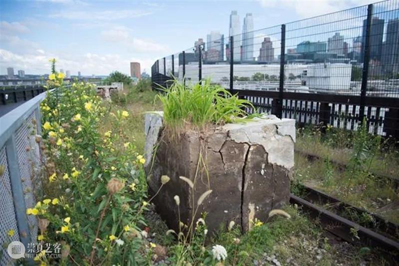 同行/从零认识世界 | Adrián Villar Rojas 博文精选 同行 Adrián Rojas 同行 世界 阿根廷 雕塑家 作品 人类 世界末日 概念 崇真艺客