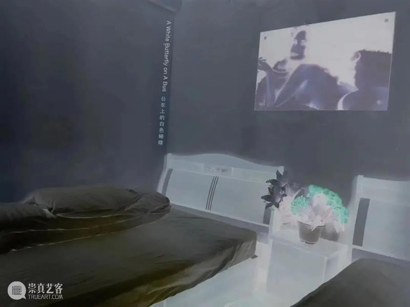 M50活动 | 「照镜子MiroirProject×ConcertPress独立短片放映」 | 上海原色艺术空间 崇真艺客