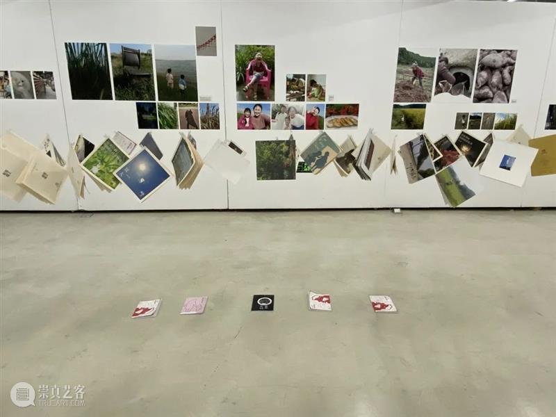 观展|今天的艺术将来自更广泛的社会现场 崇真艺客
