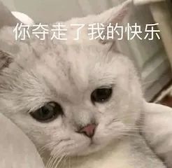 《奇异博士2》首曝预告；华语片无缘今年奥斯卡最佳国际影片 奇异博士2 影片 国际 奥斯卡 华语片 影视 好剧 小豆 资讯 豆瓣 崇真艺客