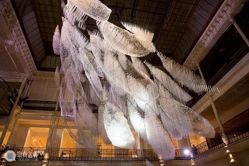 盐田千春 Chiharu Shiota：颤动的灵魂 | AMNUA艺术家 盐田千春 Shiota 艺术家 灵魂 AMNUA 线条 时间 空间 宇宙 日本 崇真艺客