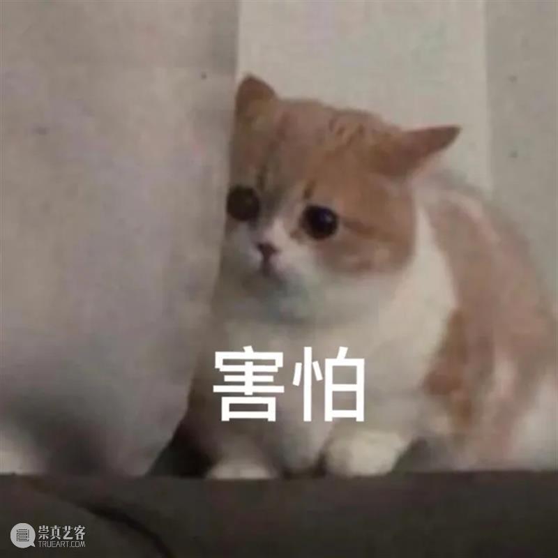 2021年全球电影票房榜TOP10；《咒怨》导演新片发布海报 电影 新片 全球 票房 海报 咒怨 导演 影视 好剧 小豆 崇真艺客