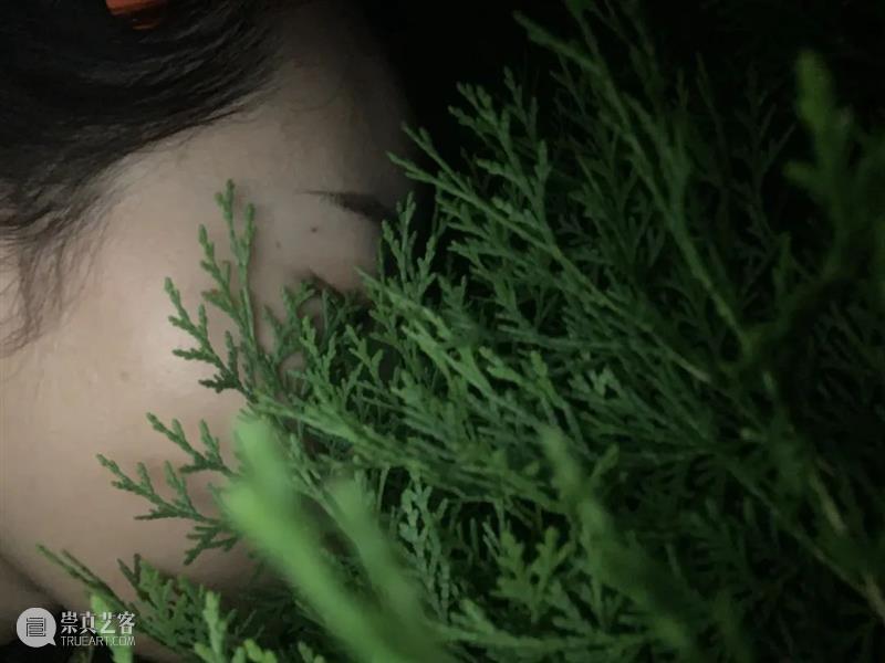 A4驻留|触目艺术小组:“触觉照片”的跨媒介实验 触目 艺术 小组 触觉 媒介 照片 实验 触觉照片 期间 之间 崇真艺客